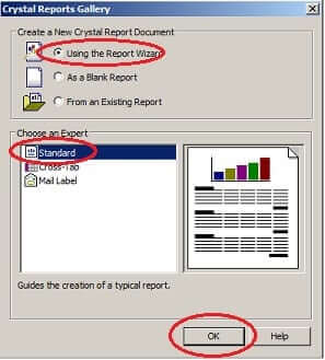 Create Your First Crystal Report - Crystal Report Gallery