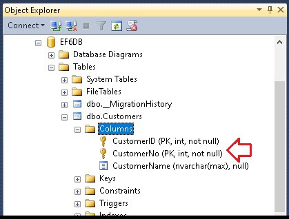 Composite Primary Key Attribute in entity framework