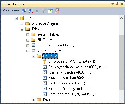 Data Annotations Column Attribute Type Name