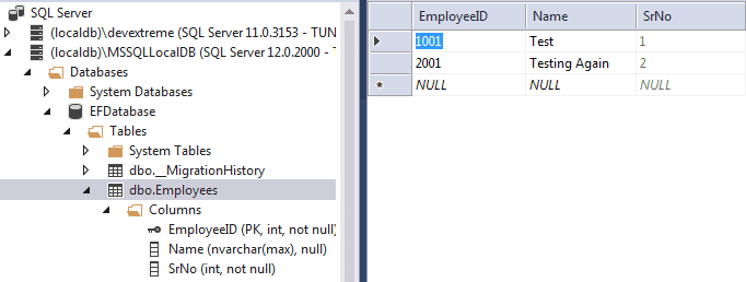 DatabaseGenerated Attribute