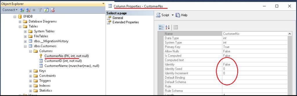 Key Attribute with identity disabled