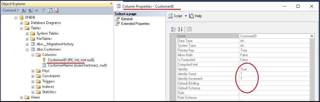 Primary Key Default Convention in Entity Framework