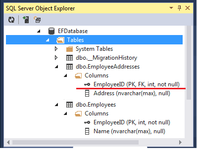 One To One Relationship in Entity Framework