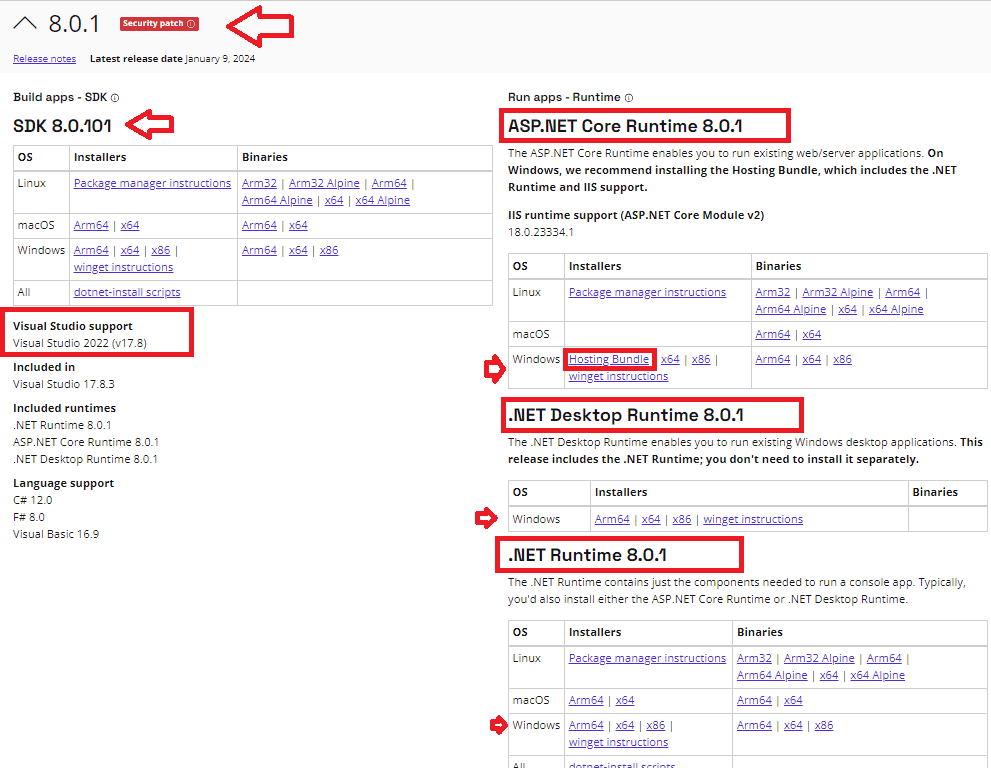 ASP.NET core download options