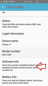 Tap on Software Info Option
