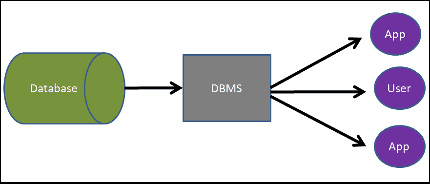 Database Management System