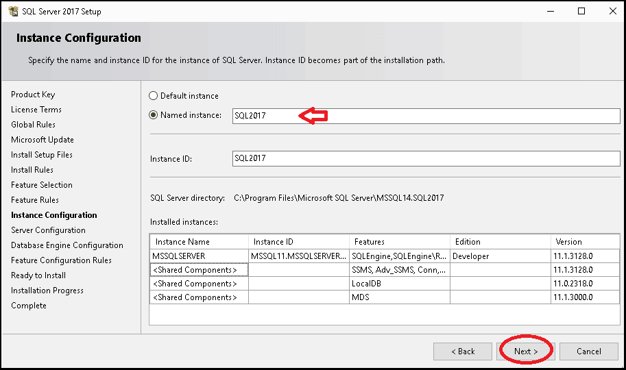 SQL Server Instance Configuration Named Instance