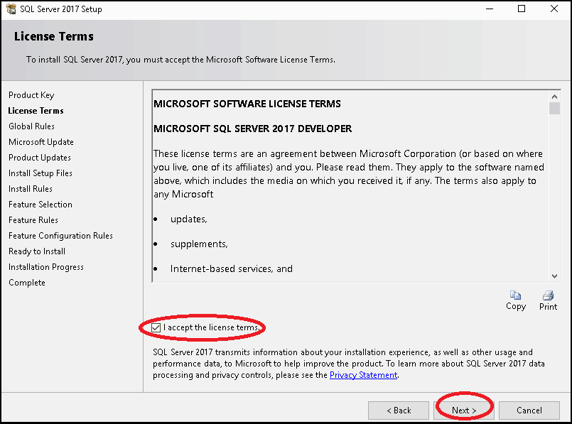 License Terms