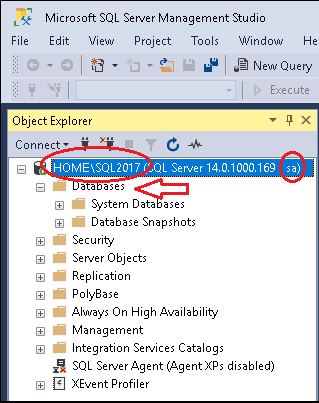 SQL SERVER Connected Via SQL Server Management Studio