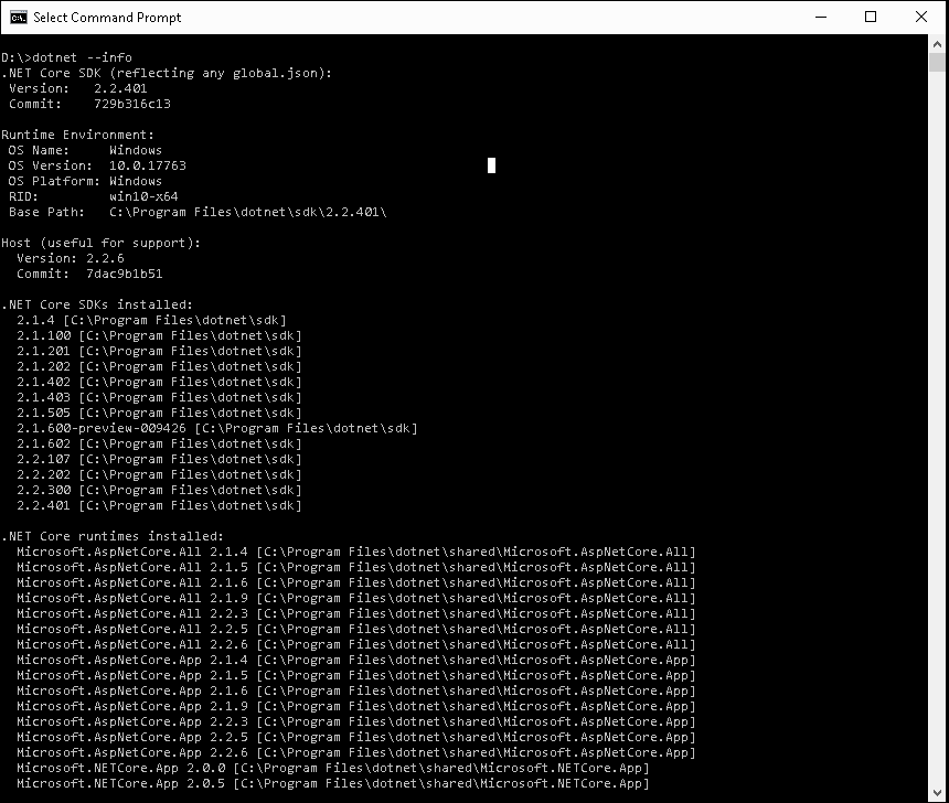 dotnet info