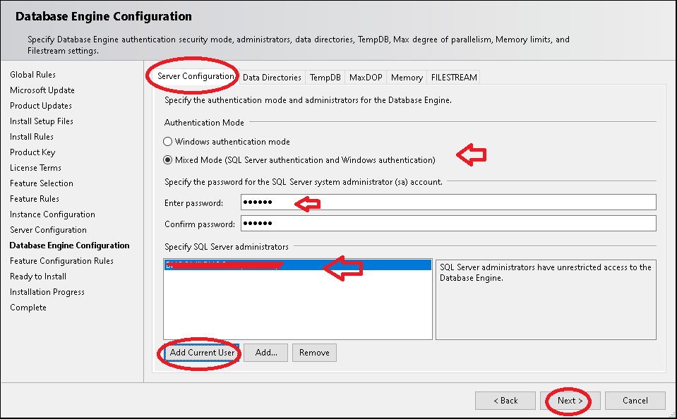 Database Engine Configuration Authentication Mode