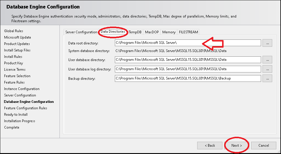 Database Engine Configuration Set Data Directories