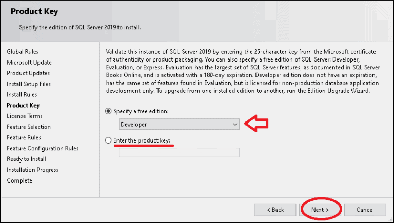 How to download and install SQL Server 2019 - Tektutorialshub