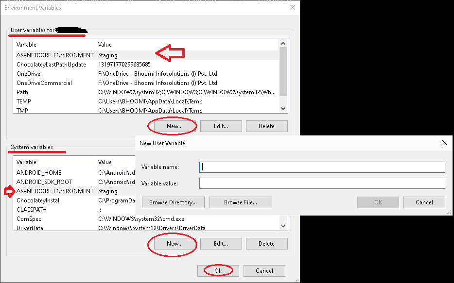 Edit environment Variables in Windows