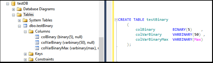 Binary VarBinary and VarBinary max in SQL Server