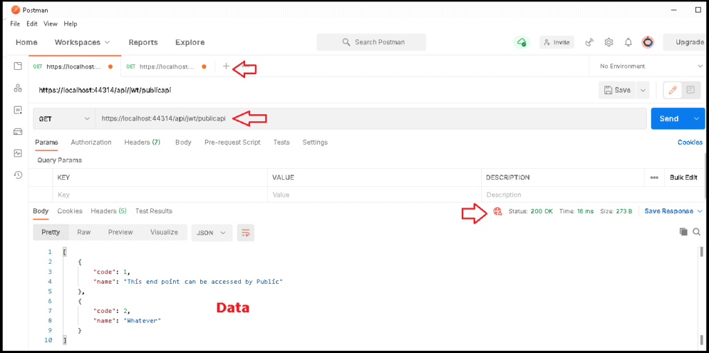 jwt authentication access to public api