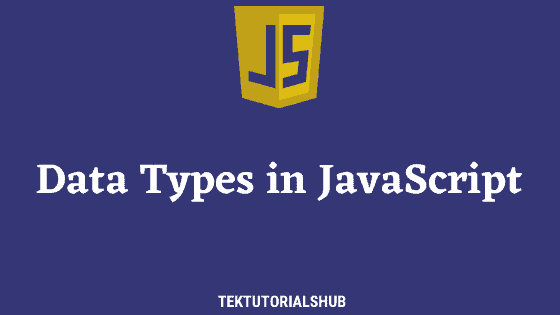 Data Types in JavaScript - TekTutorialsHub