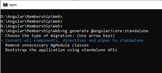 Angular standalone components migration choose the type of migration